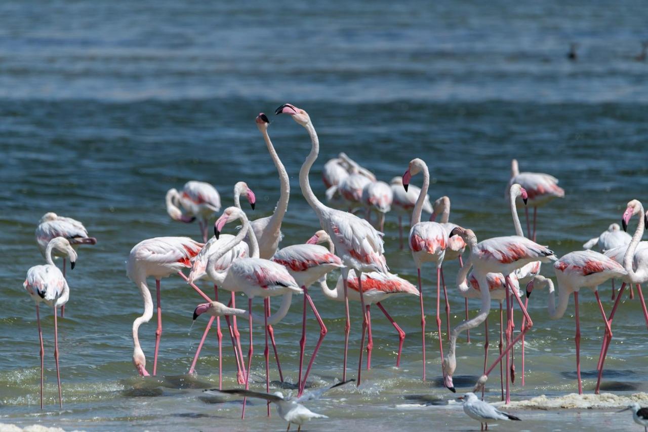 Izbat Ilyas Northern Lake Lodge מראה חיצוני תמונה