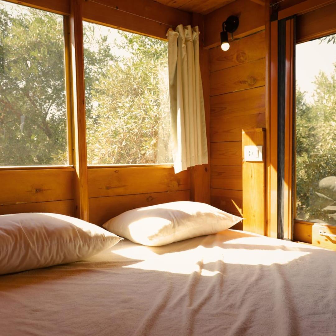 Izbat Ilyas Northern Lake Lodge מראה חיצוני תמונה