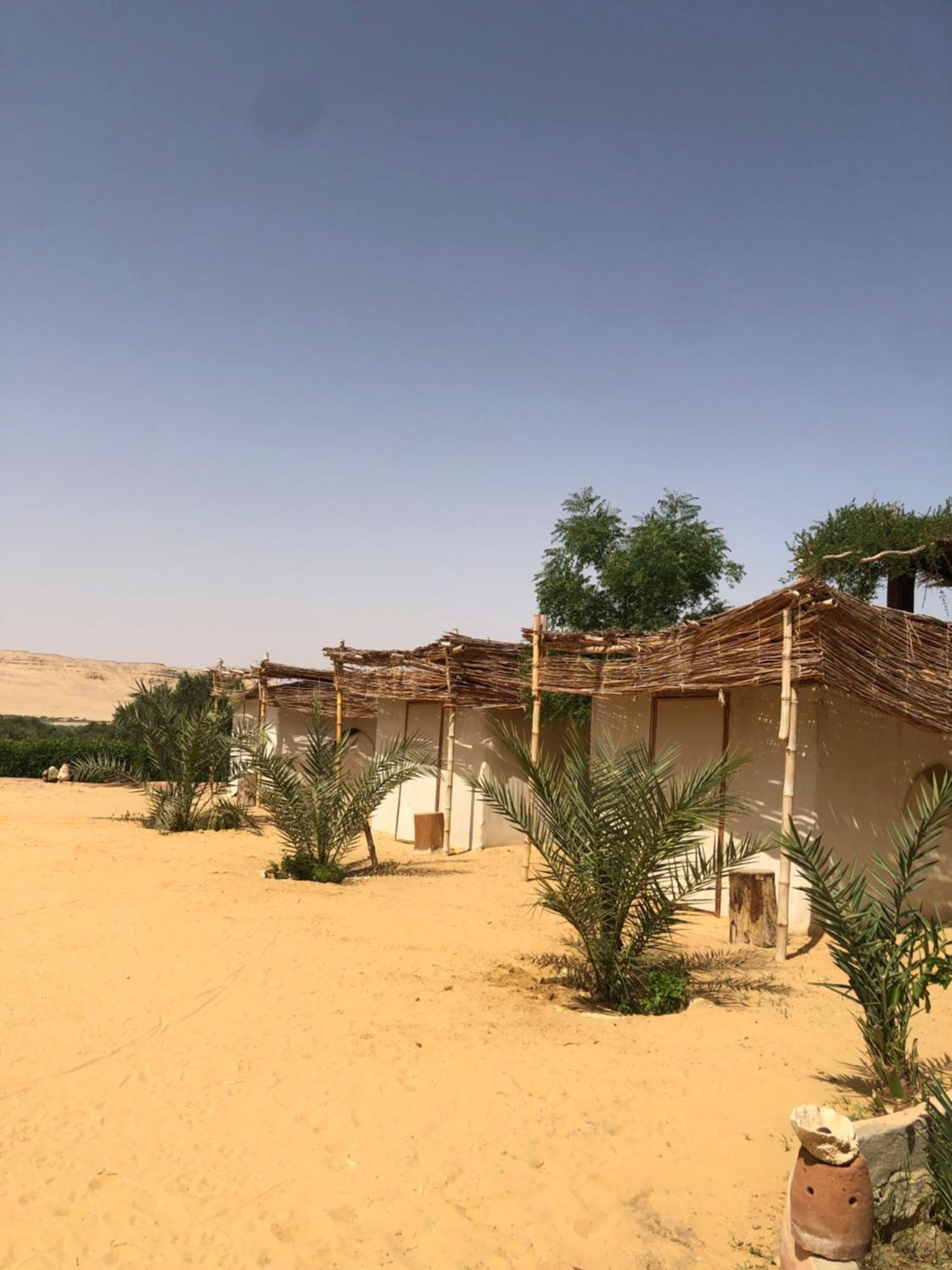 Izbat Ilyas Northern Lake Lodge מראה חיצוני תמונה