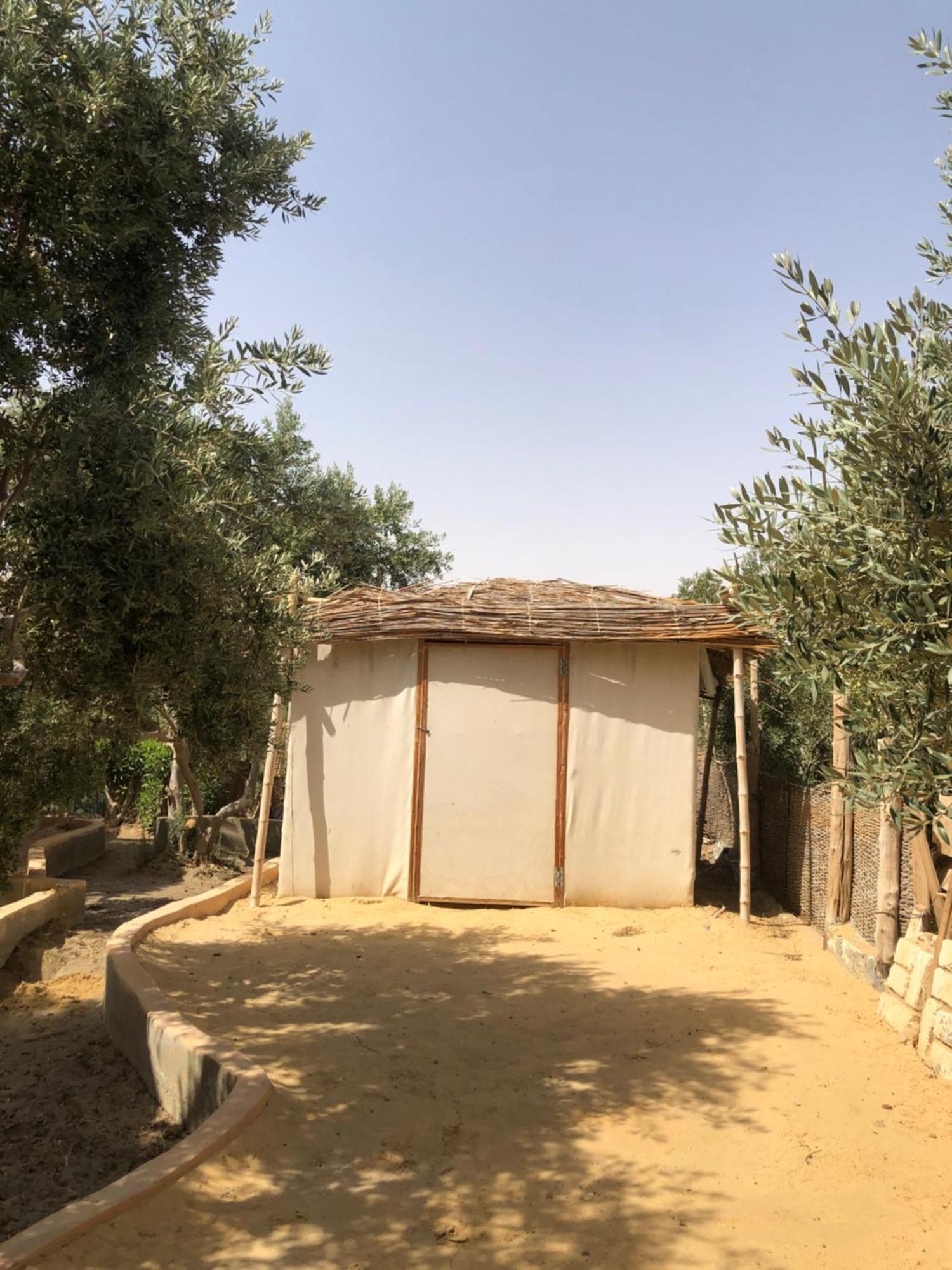 Izbat Ilyas Northern Lake Lodge מראה חיצוני תמונה
